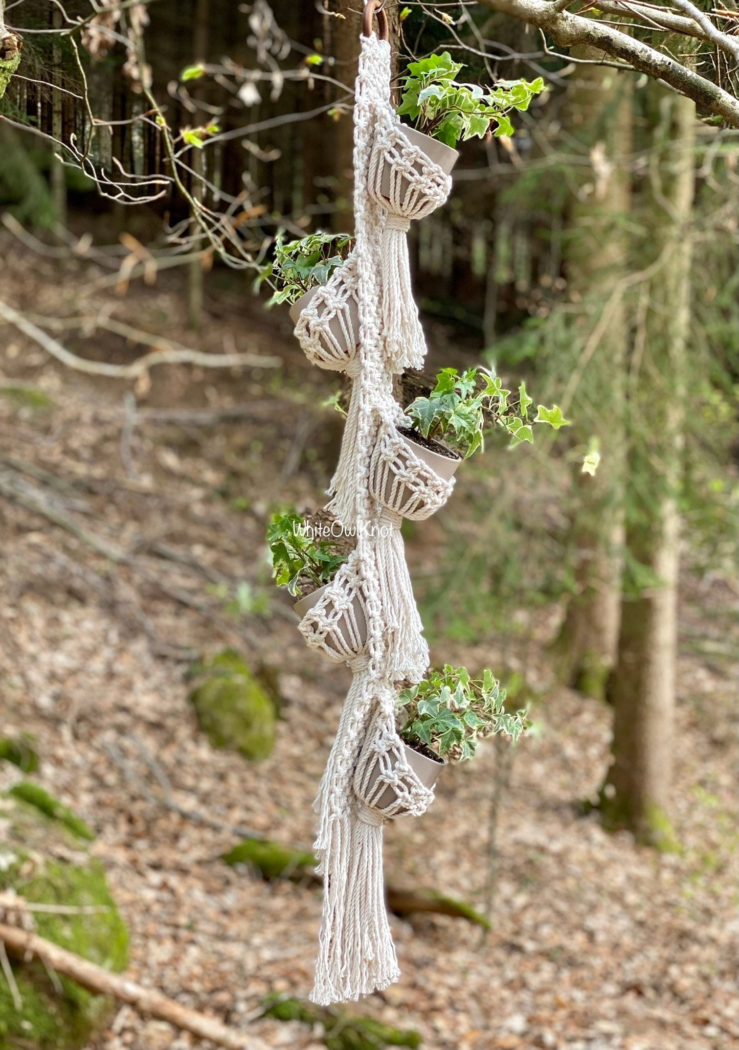 Macrame plant hanger with hanging plants in a forest setting