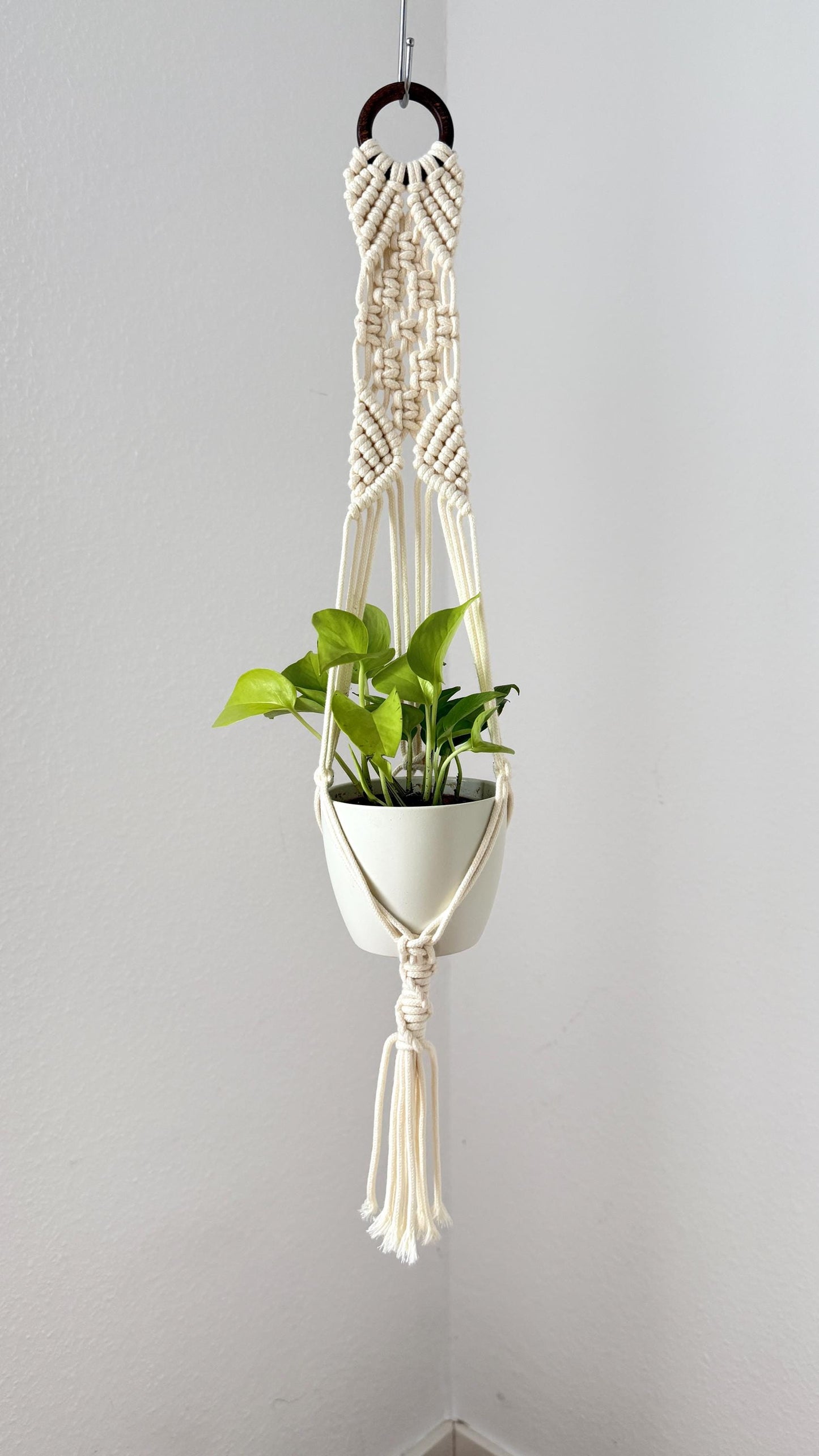Macrame plant hanger with a plant against a plain wall