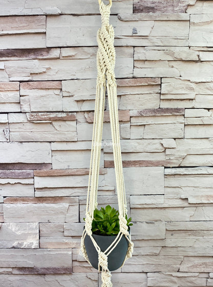 Macrame plant hanger with a plant against a stone wall background