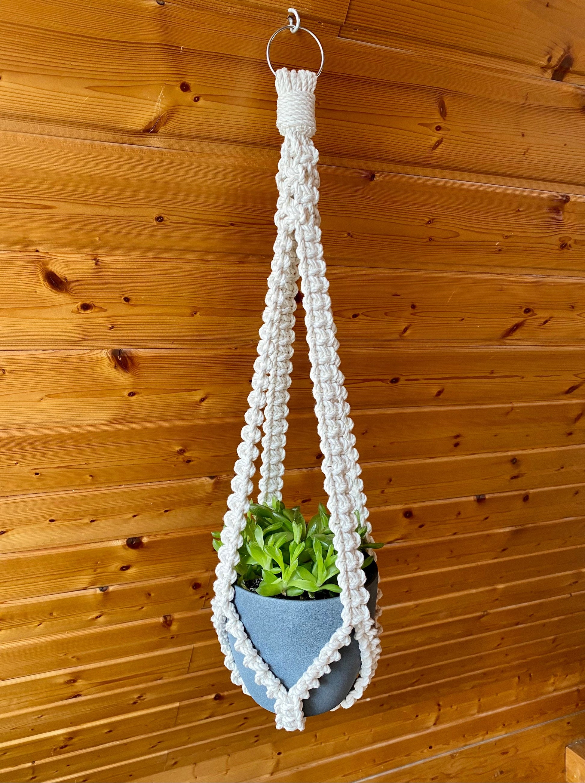 White macrame plant hanger with a blue pot and green plant against a wooden wall.
