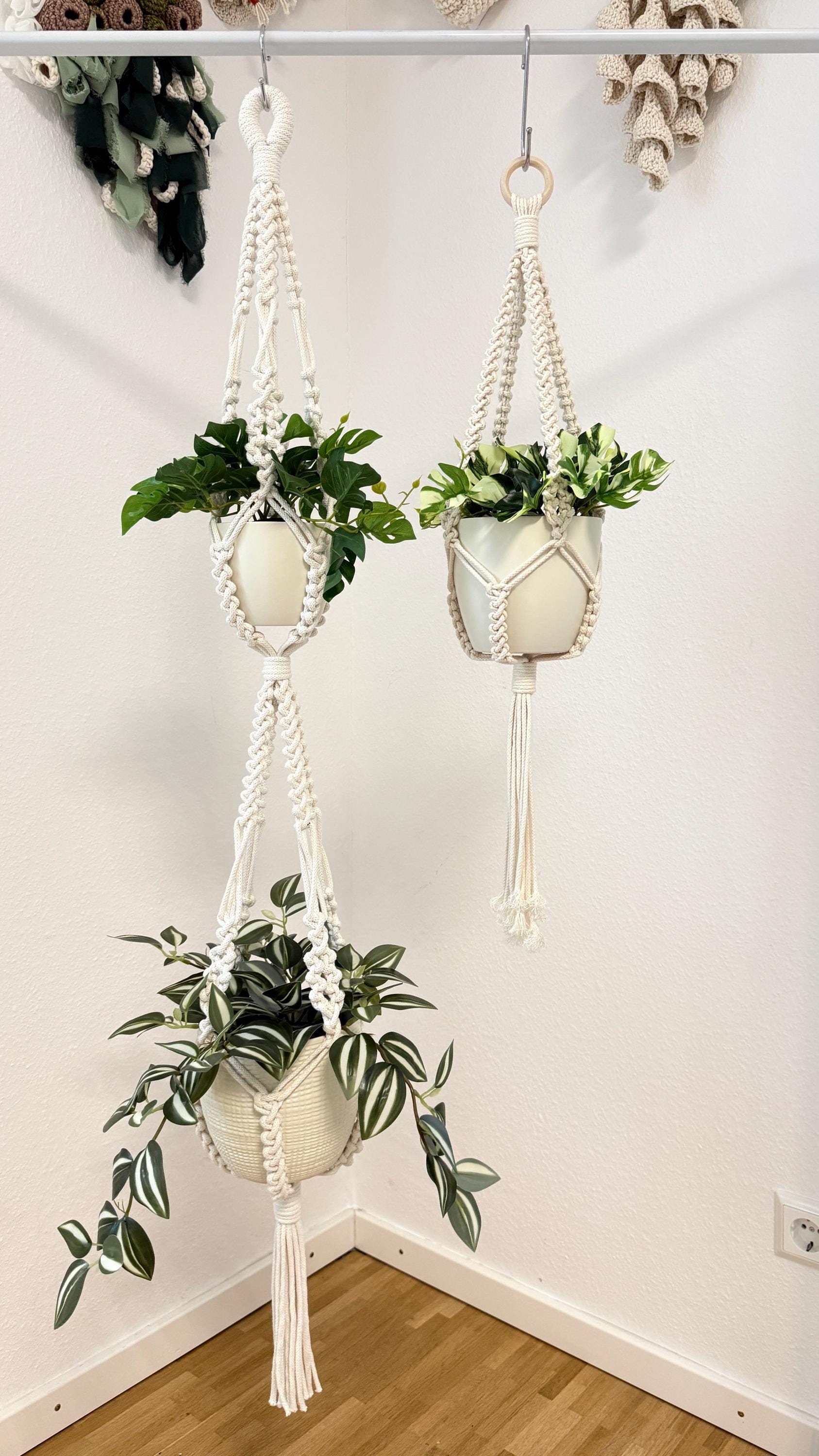 Two macrame plant hangers with plants against a white wall.