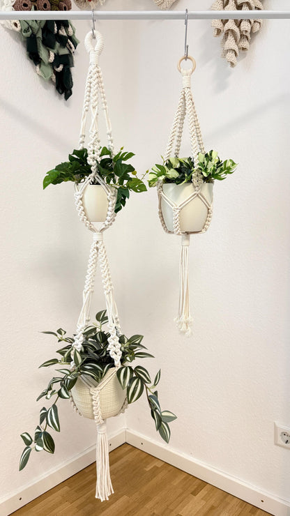 Two macrame plant hangers with plants against a white wall.