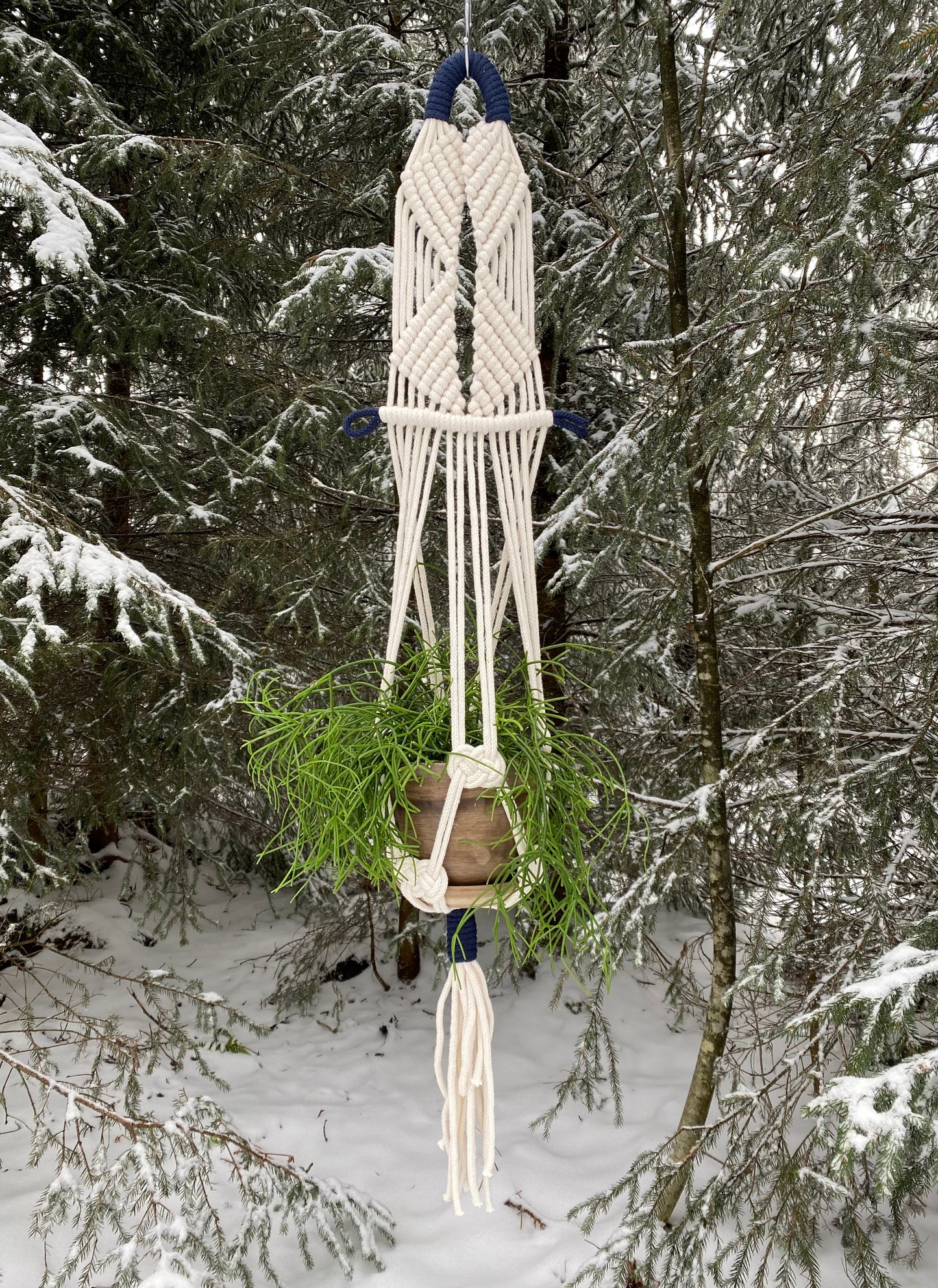 Macrame plant hanger with a plant against a snowy forest background