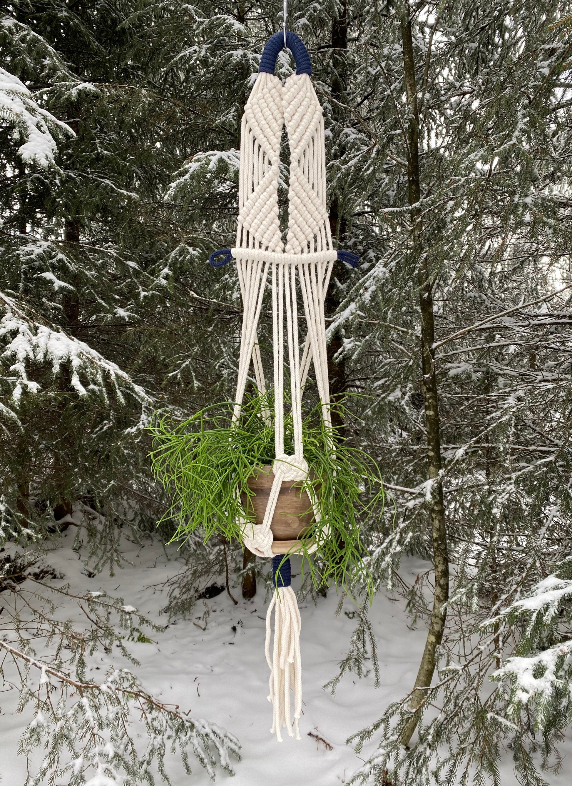Macrame plant hanger with a plant against a snowy forest background