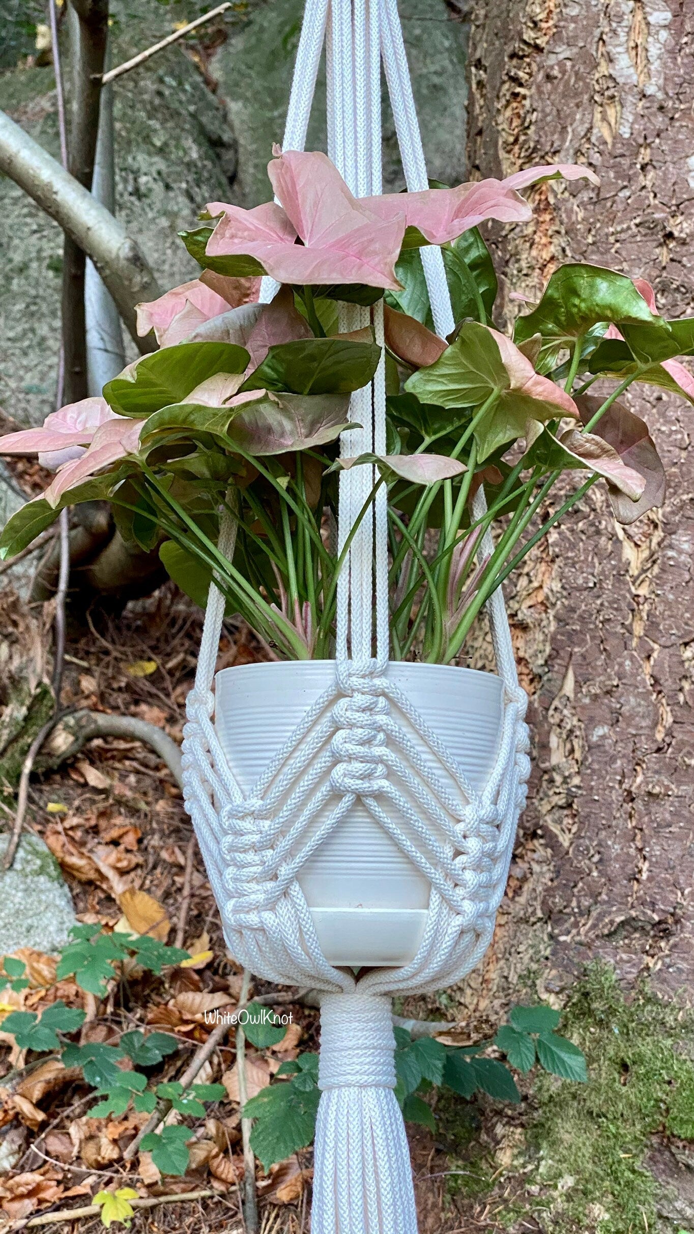 Macrame plant hanger with a pink flower and green leaves against a natural background.