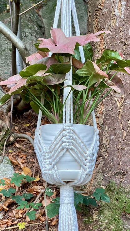 Macrame plant hanger with a pink flower and green leaves against a natural background.