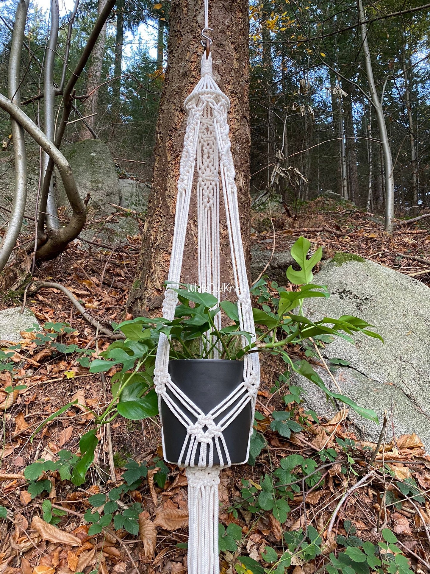 Macrame plant hanger with a black pot hanging from a tree in a forest setting.