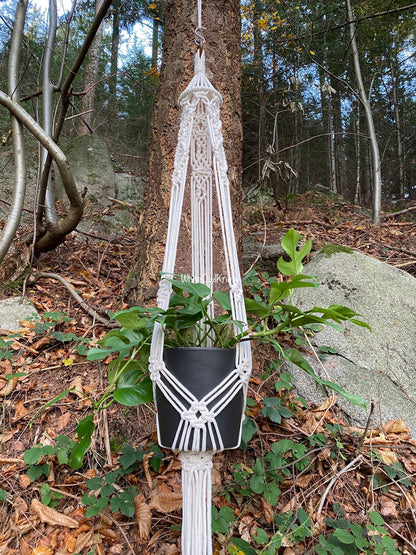 Macrame plant hanger with a black pot hanging from a tree in a forest setting.