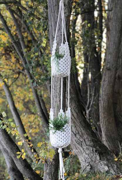 Macrame plant hanger with plants hanging from a tree