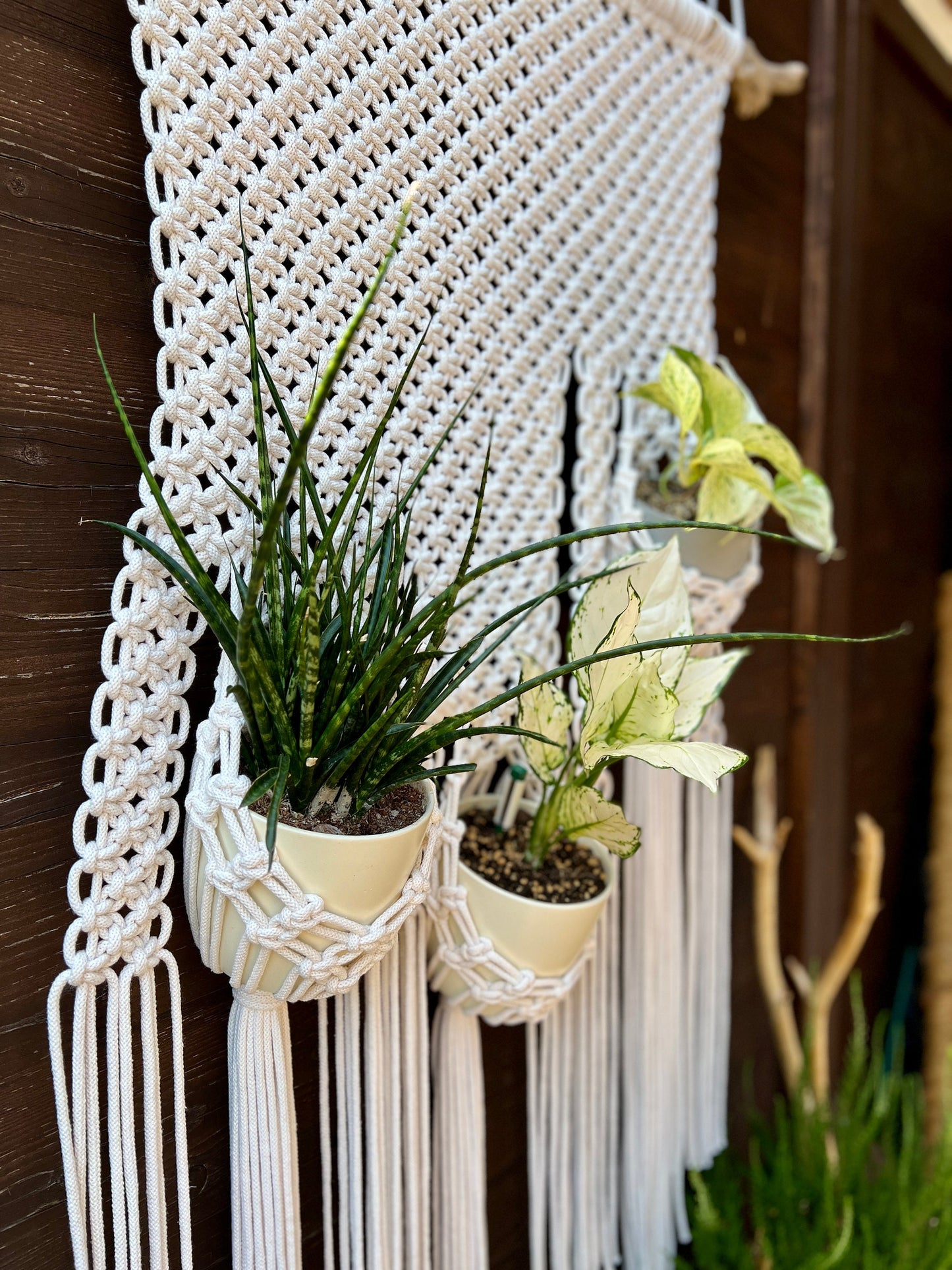 Macrame plant hanger with potted plants against a wooden background