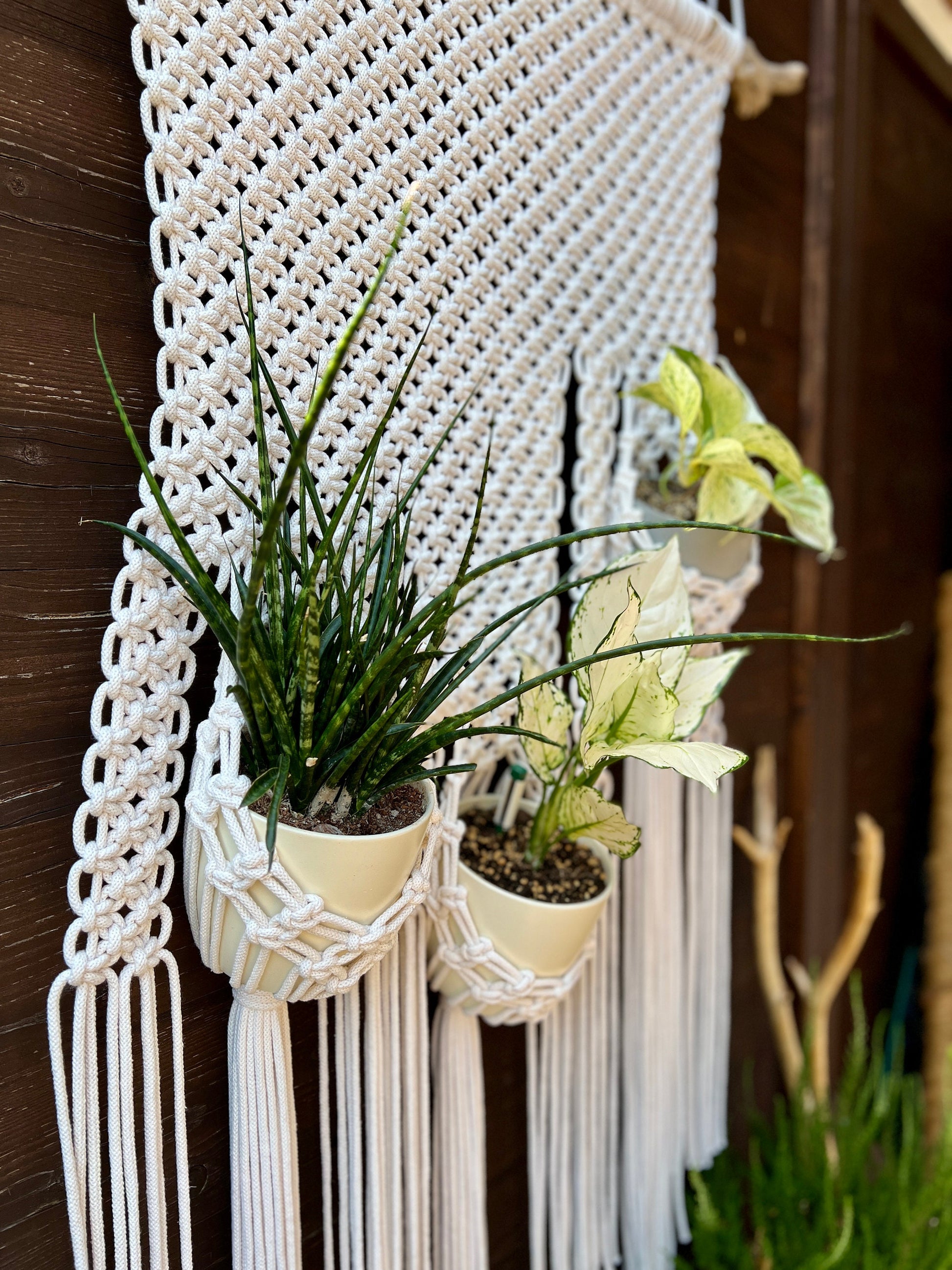 Macrame plant hanger with potted plants against a wooden background