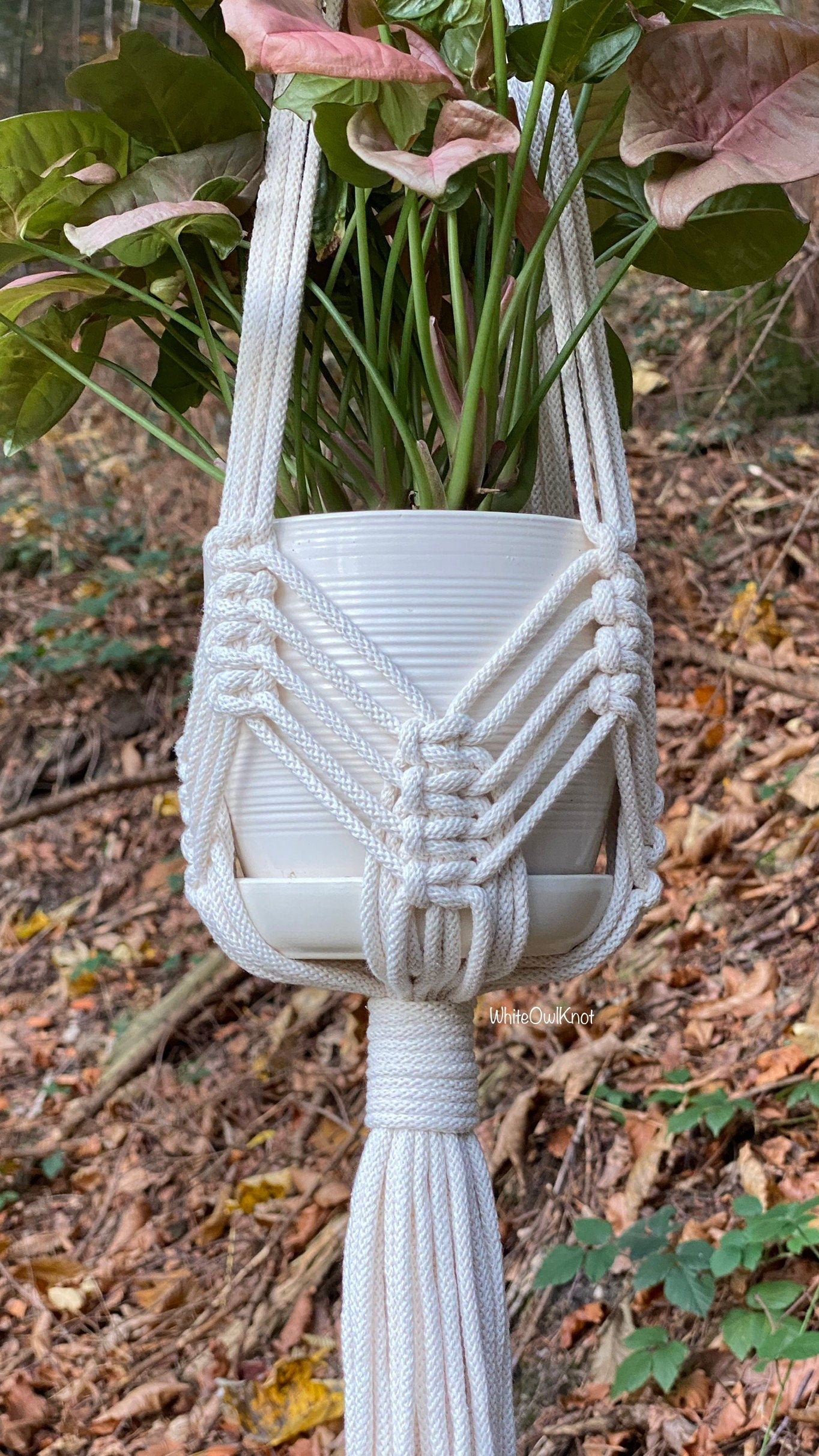 Macrame plant hanger with a plant against a natural background