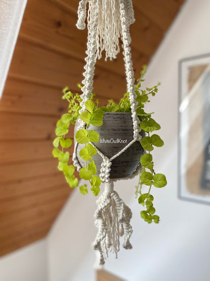 Macrame plant hanger with a pot of green leaves against a wooden wall.