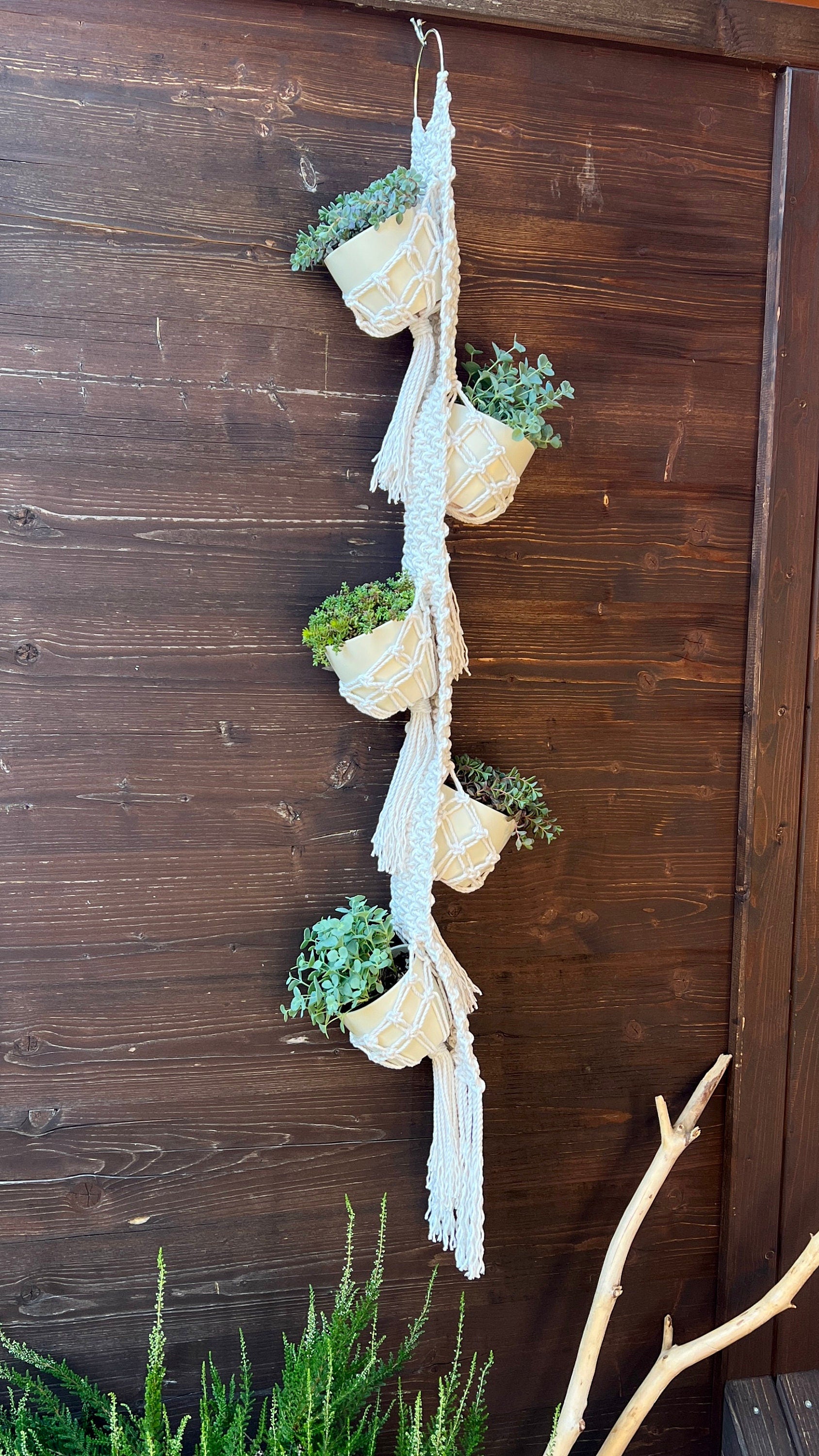 Macrame plant hanger with succulents against a wooden wall