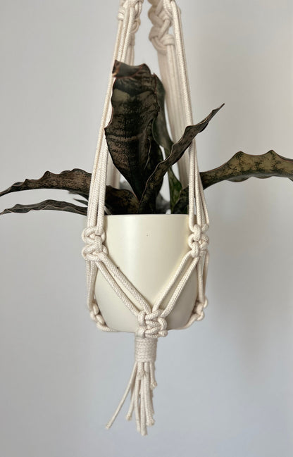 Macrame plant hanger with a white pot and plant against a plain background