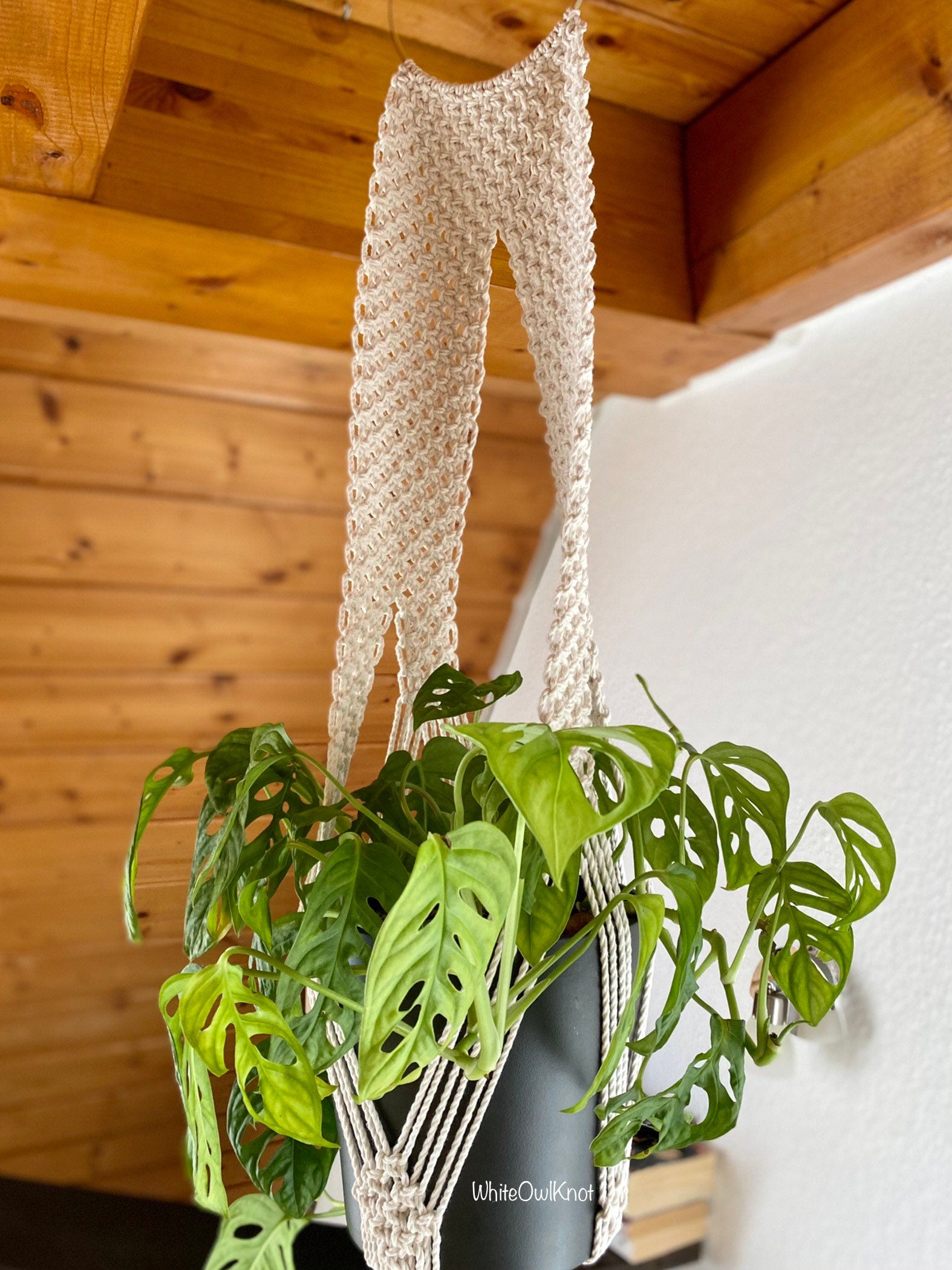 Macrame plant hanger with a potted plant against a wooden wall.