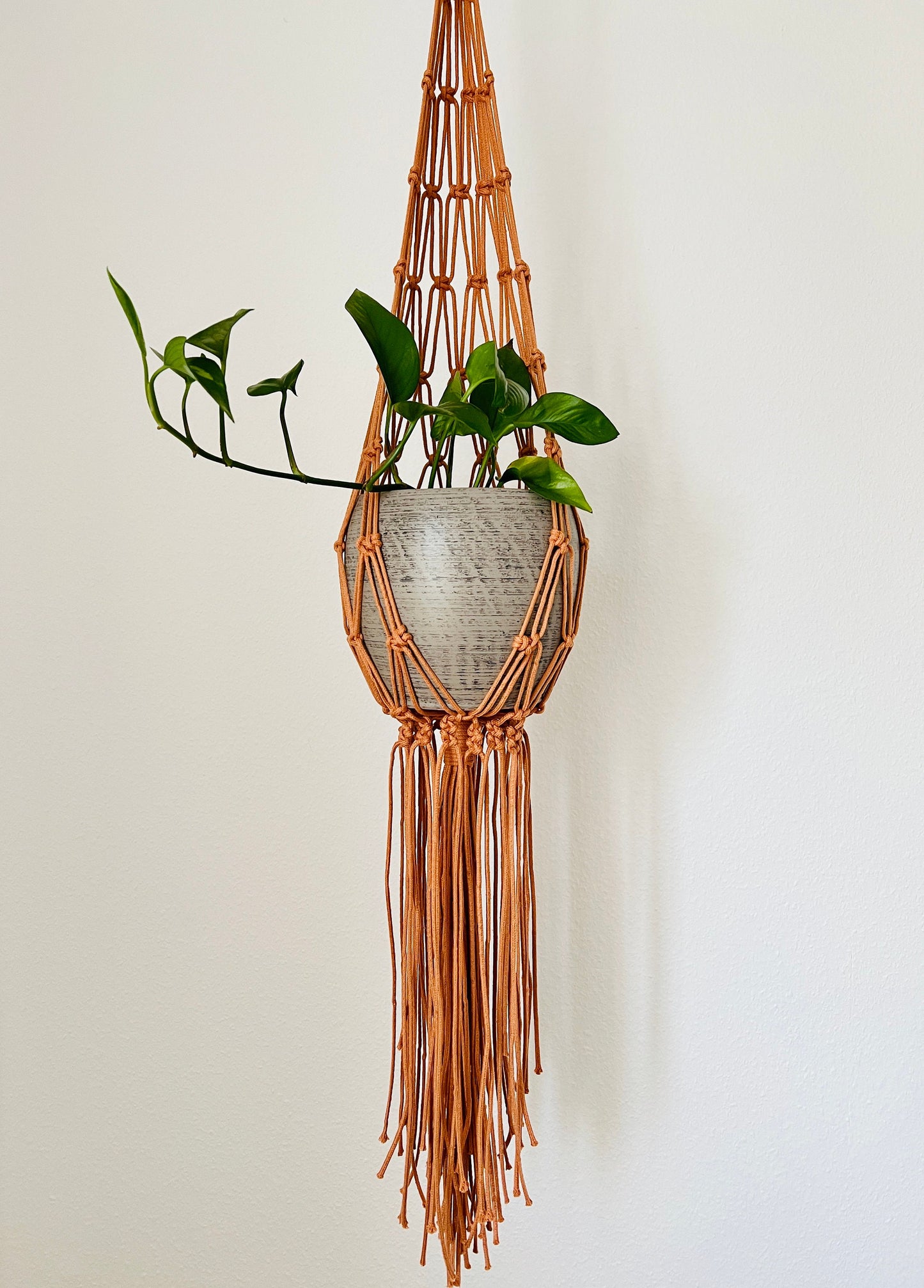 Macrame plant hanger with a plant against a white wall