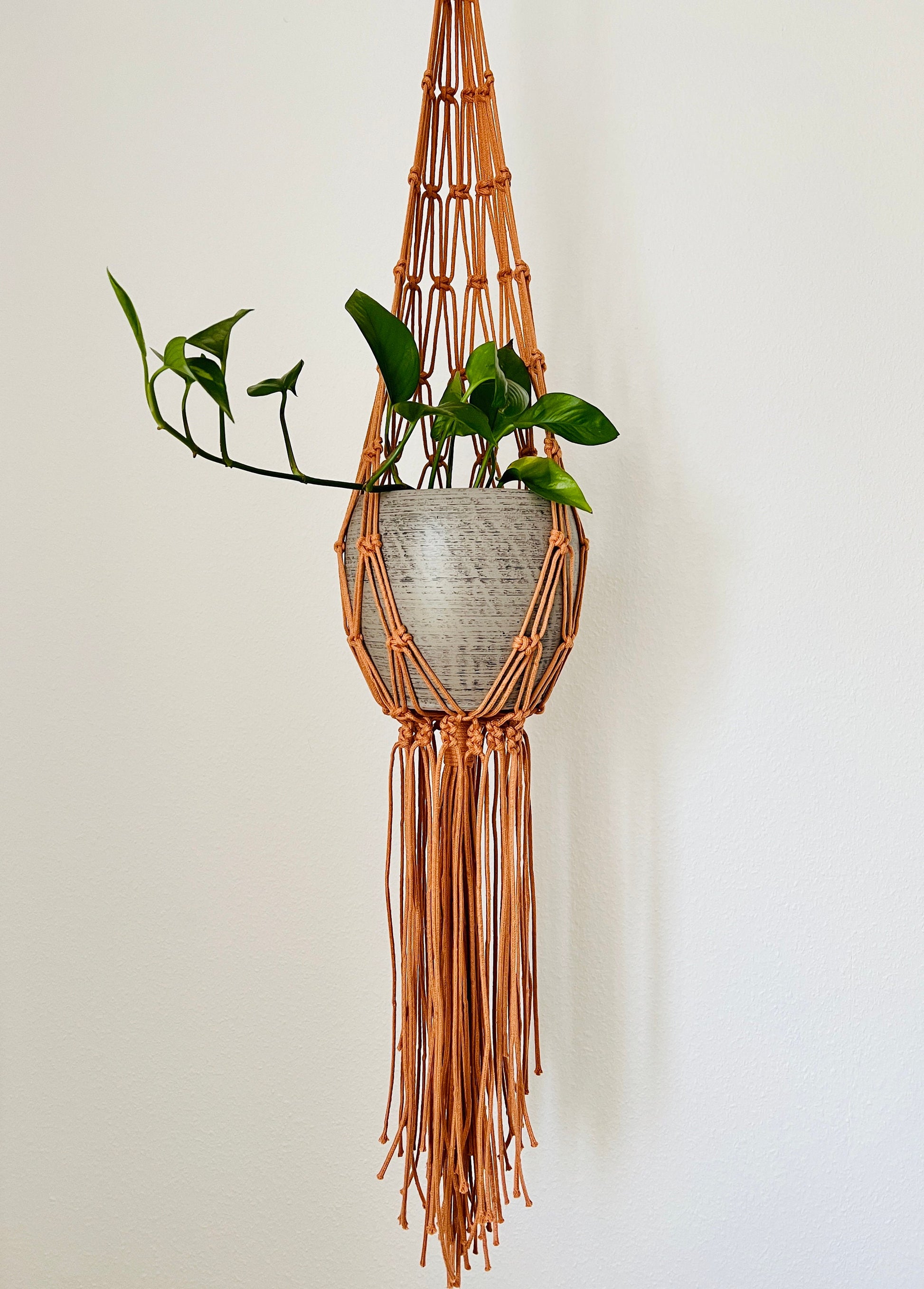 Macrame plant hanger with a plant against a white wall