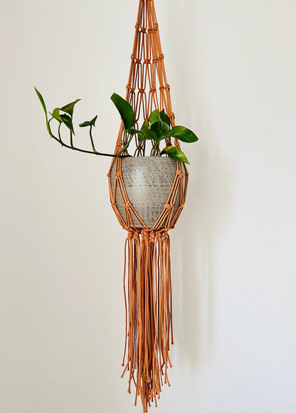 Macrame plant hanger with a plant against a white wall