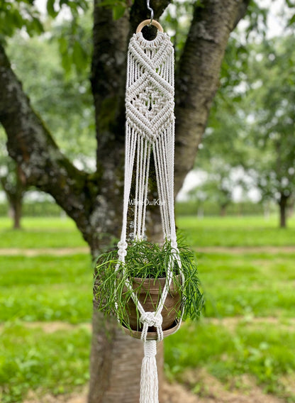 Macrame plant hanger with a plant hanging from a tree in an outdoor setting.