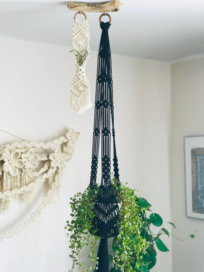 Black macrame plant hanger with green plant against a white wall.