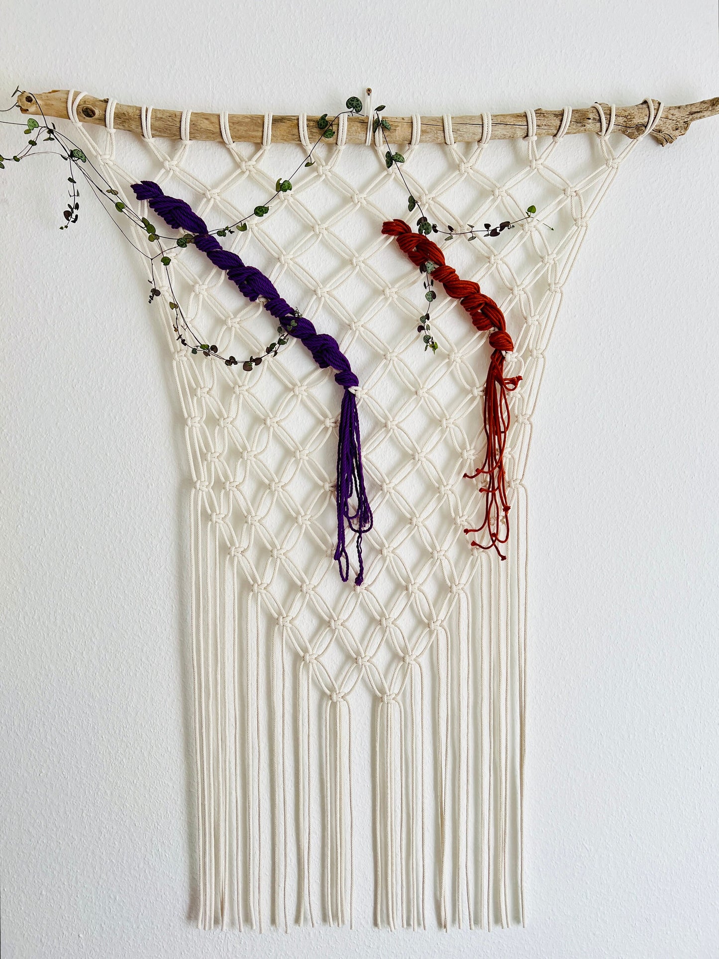 Macrame wall hanging with purple and red yarn on a white background