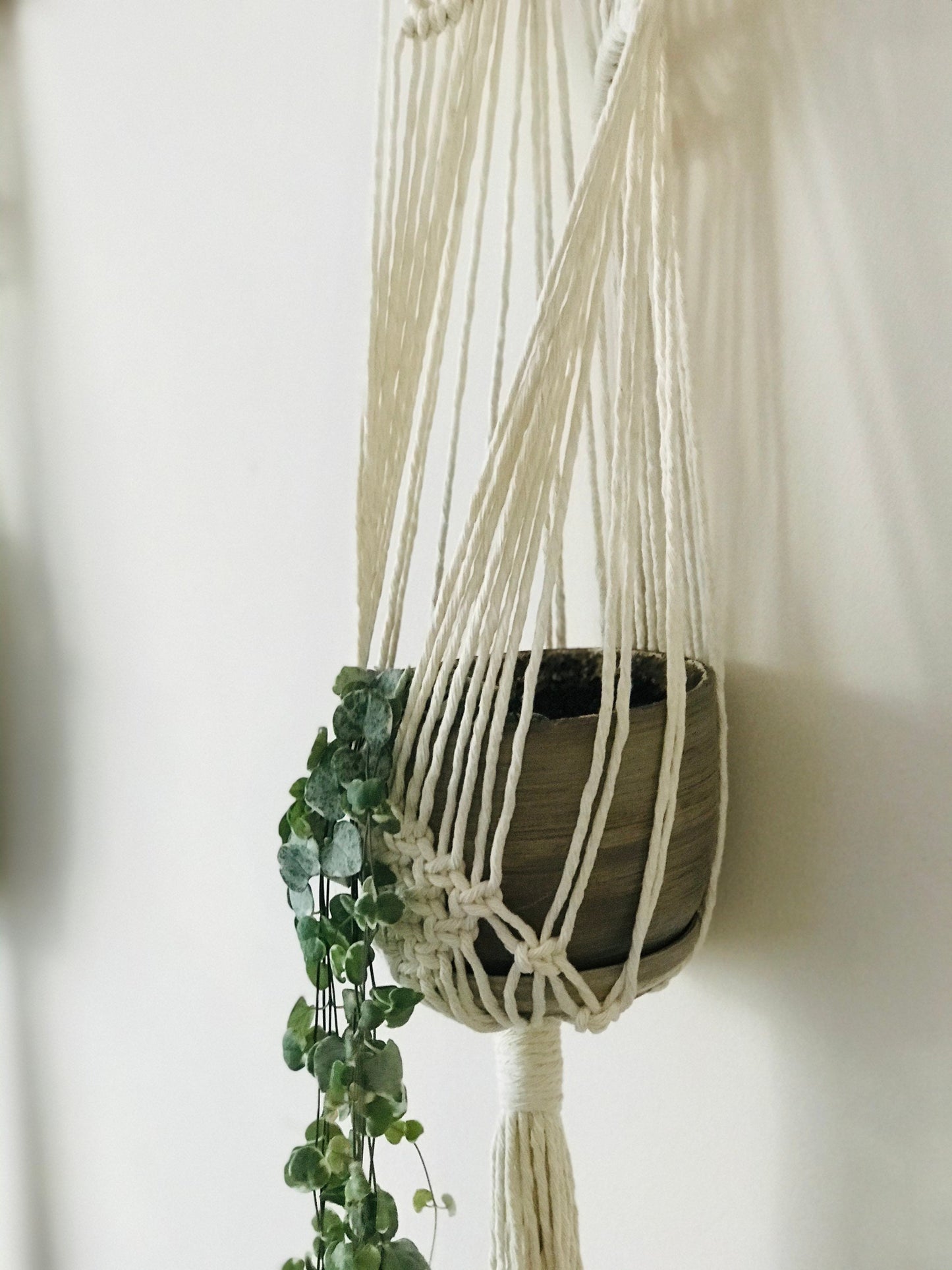 Macrame plant hanger with a pot of green plant against a white wall
