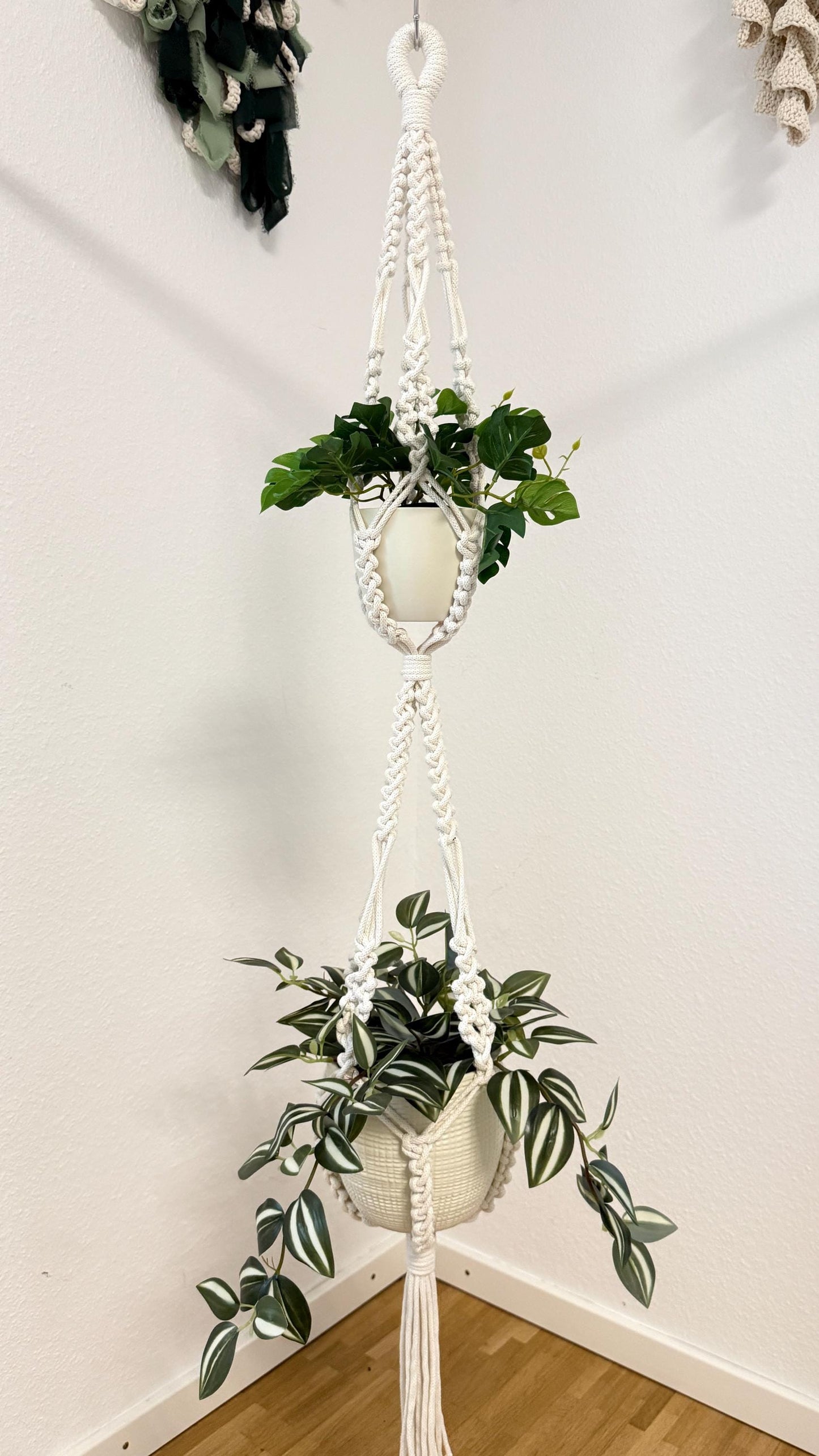 Macrame plant hanger with plants against a white wall