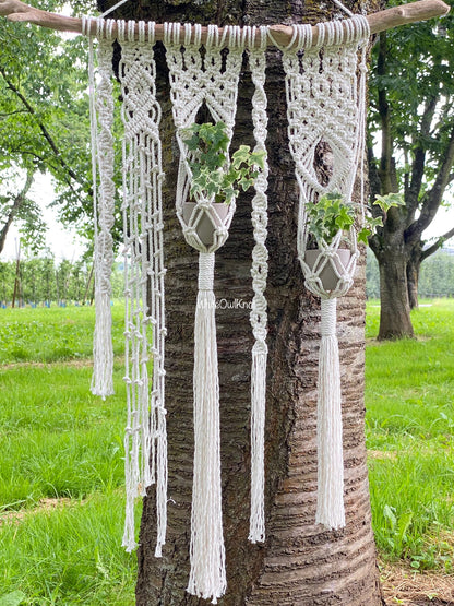 Macrame plant hangers hanging from a tree branch outdoors.