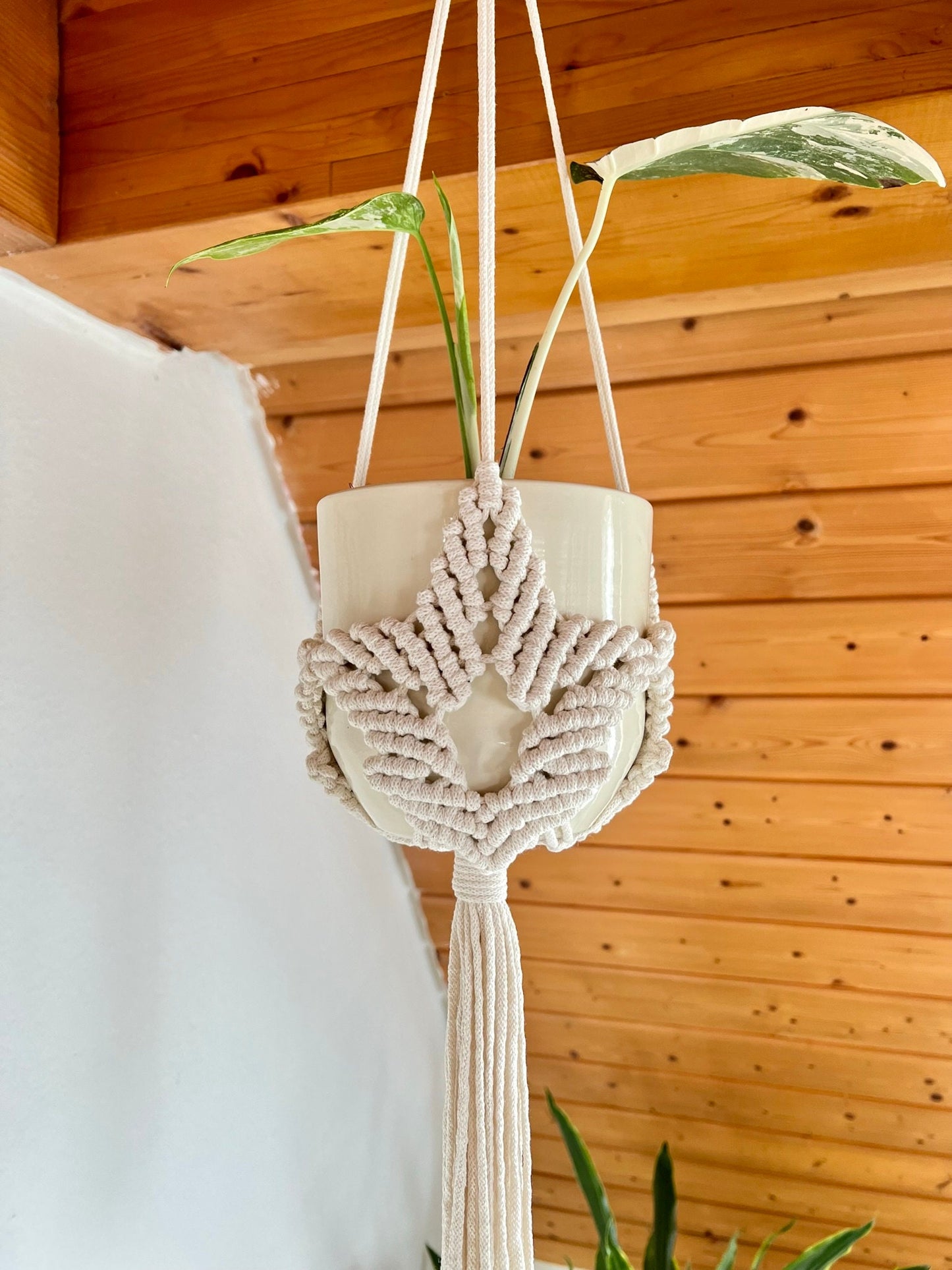 Macrame plant hanger with a plant against a wooden wall.