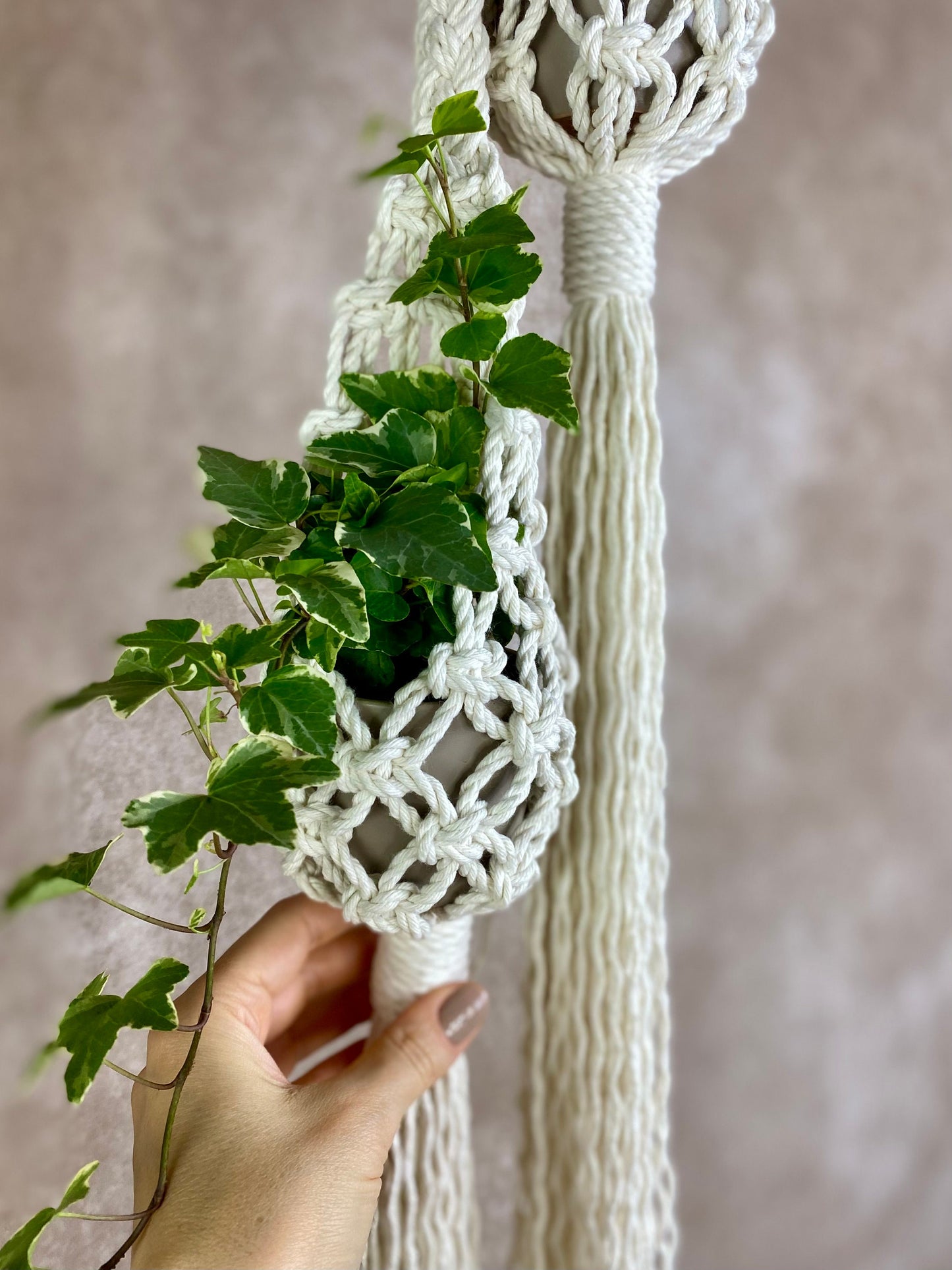 Hand holding a macrame plant hanger with a plant against a neutral background