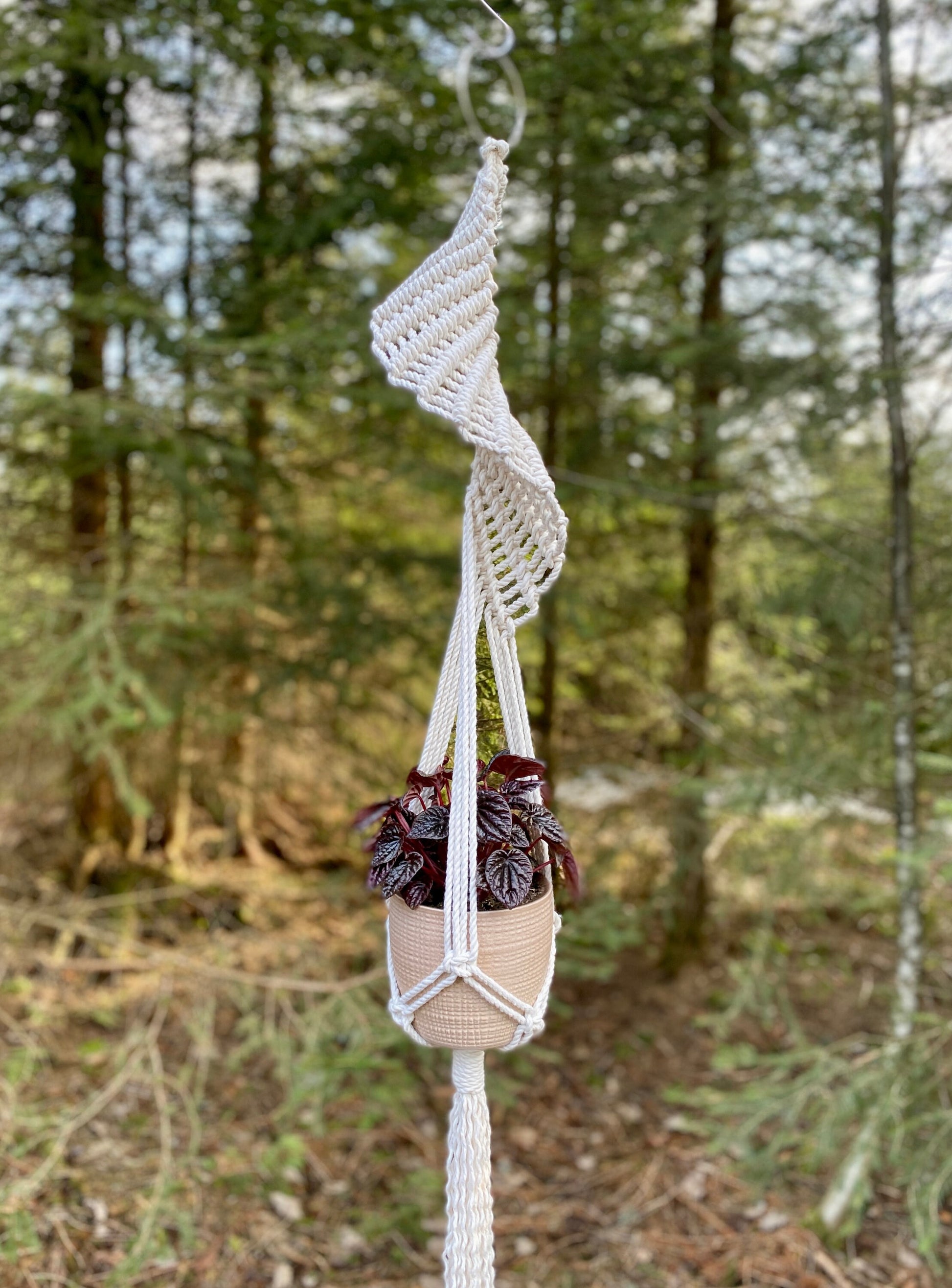 Macrame plant hanger with a plant in a forest setting