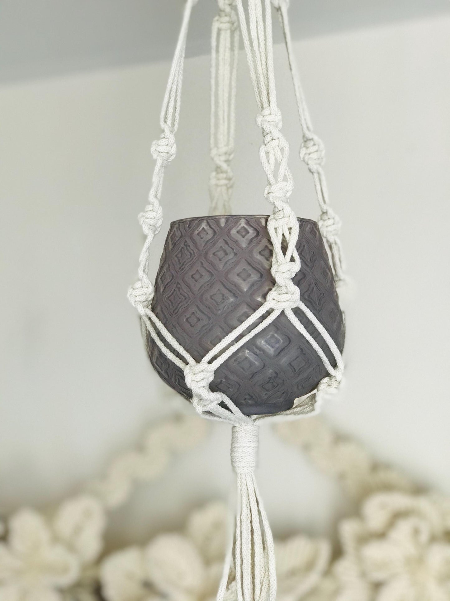 Macrame plant hanger with a black pot on a white background
