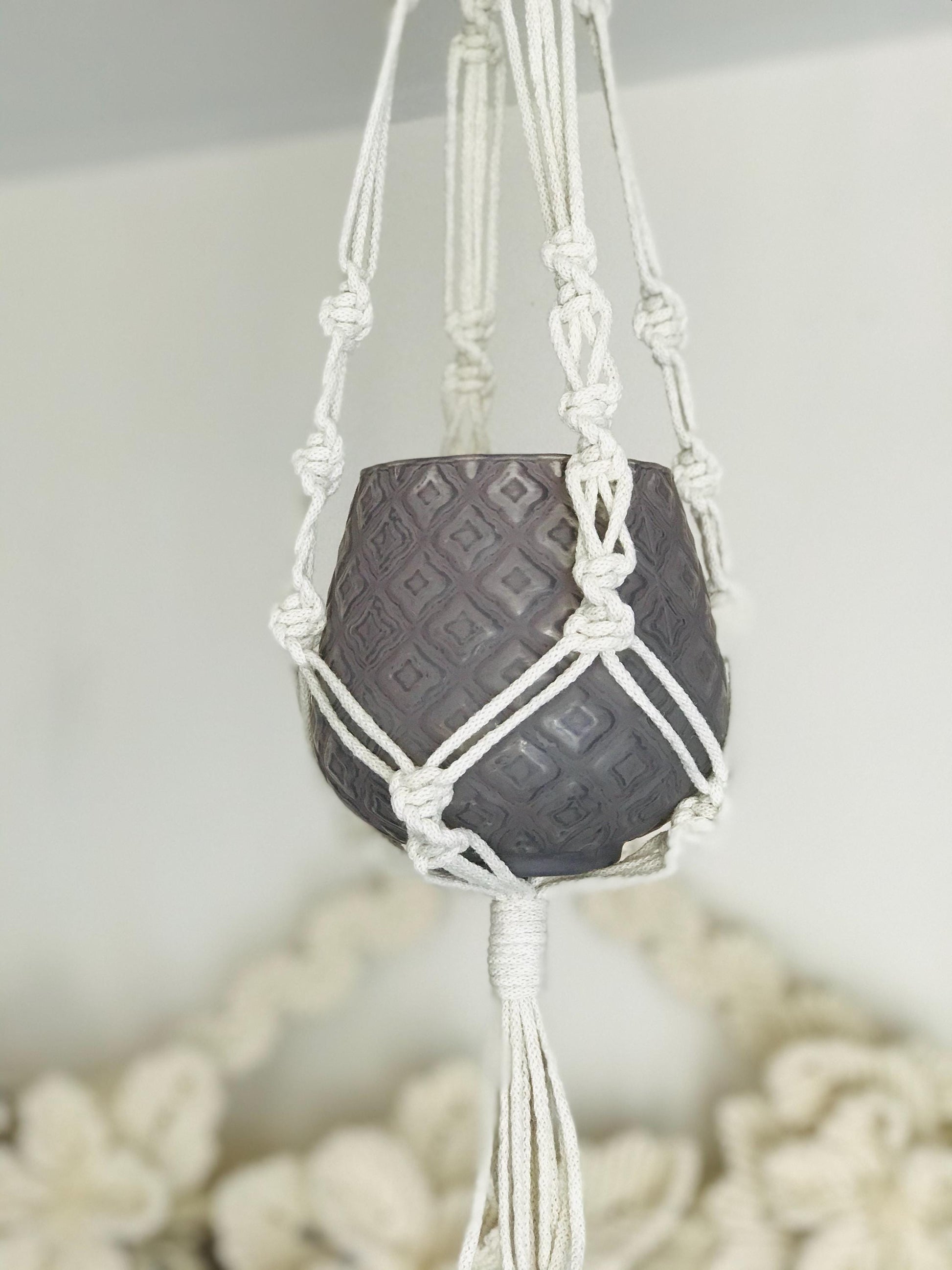 Macrame plant hanger with a black pot on a white background