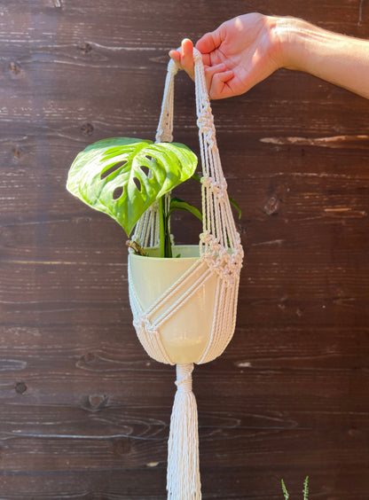 Macrame plant hanger with a potted plant against a wooden background