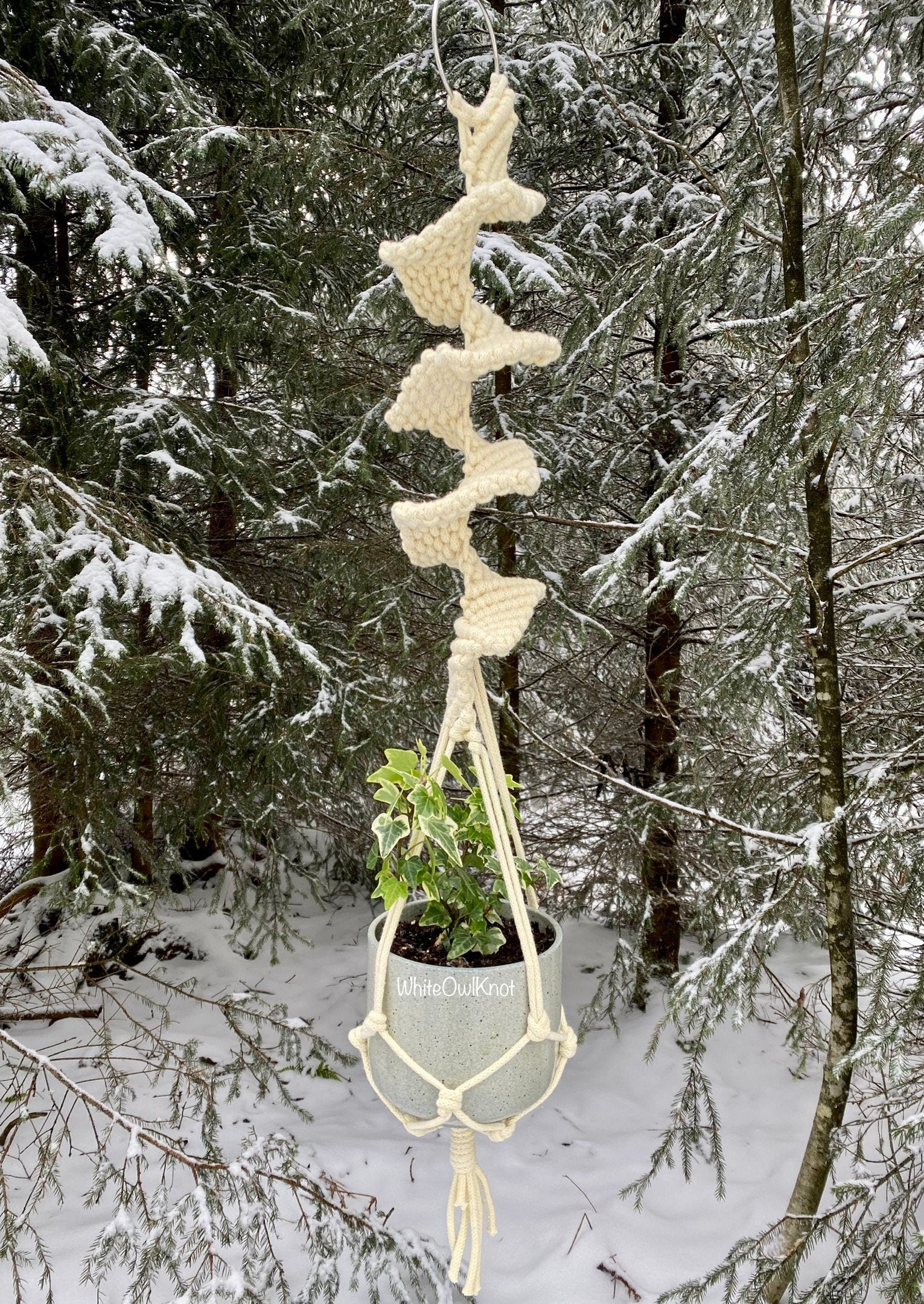 Macrame plant hanger with a plant in a snowy forest setting
