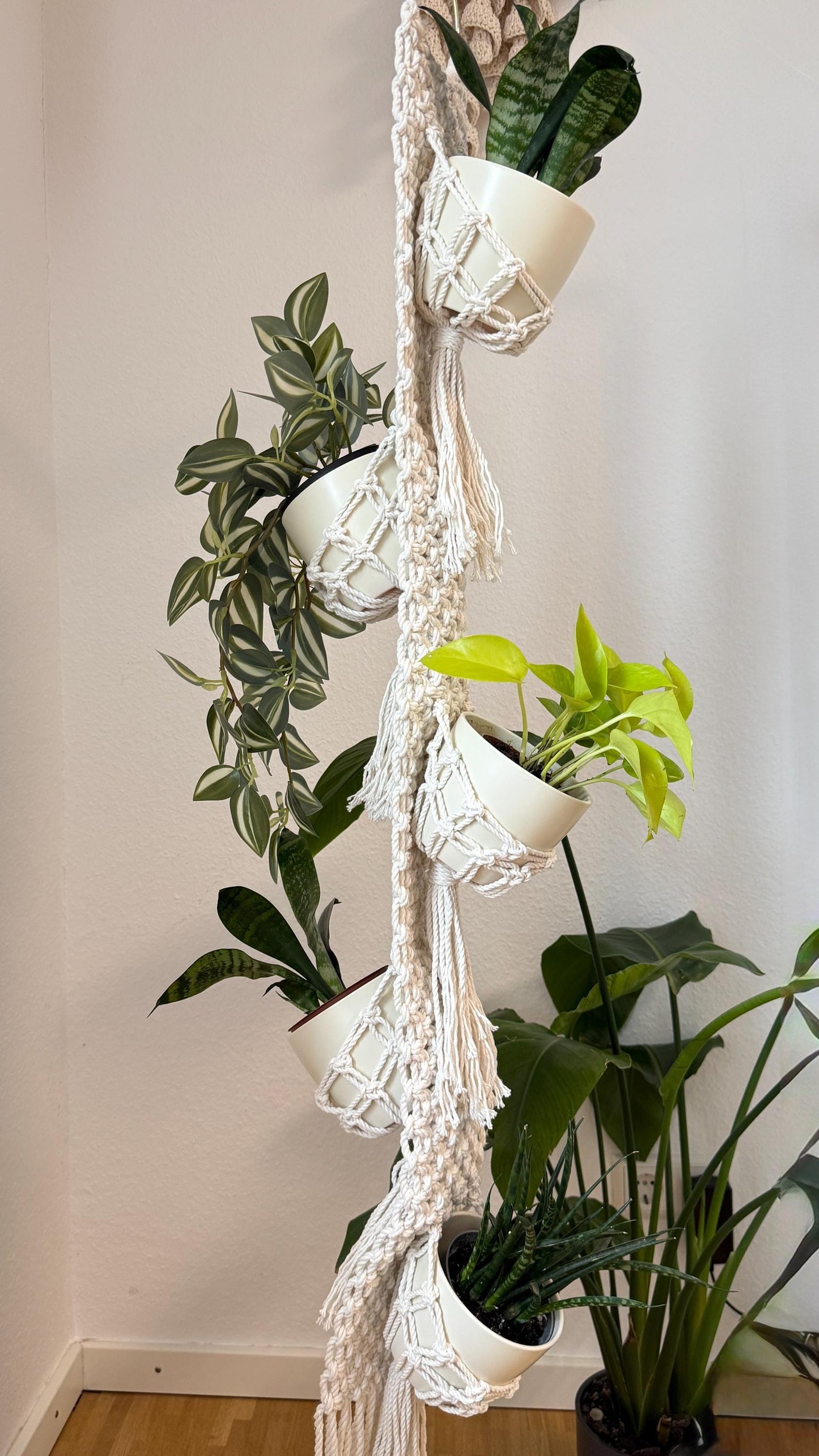 Macrame plant hanger with multiple potted plants against a plain wall.