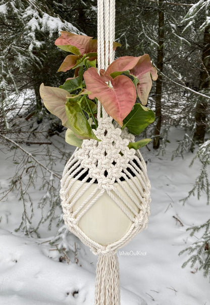 Macrame plant hanger with a potted plant against a snowy forest background