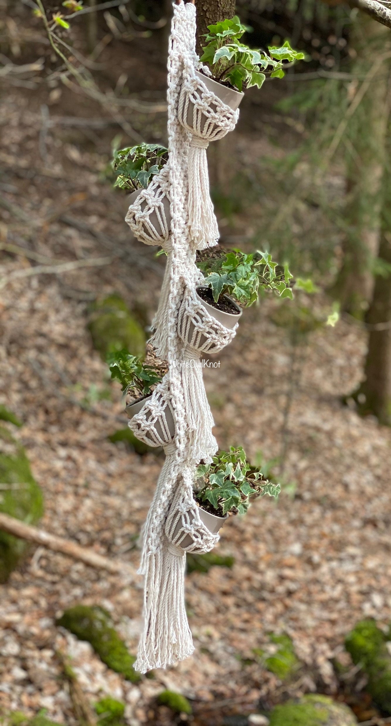 Macrame plant hanger with multiple pots hanging from it against a natural background.