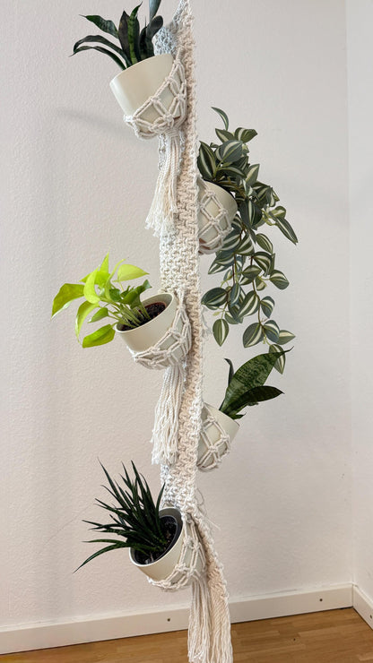 Macrame plant hanger with multiple pots of plants against a white wall.
