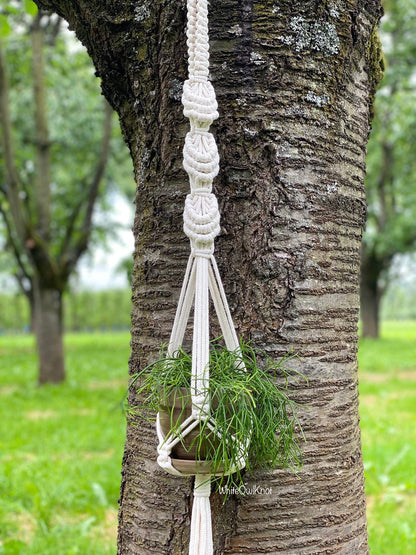 Macrame plant hanger with a plant hanging from a tree