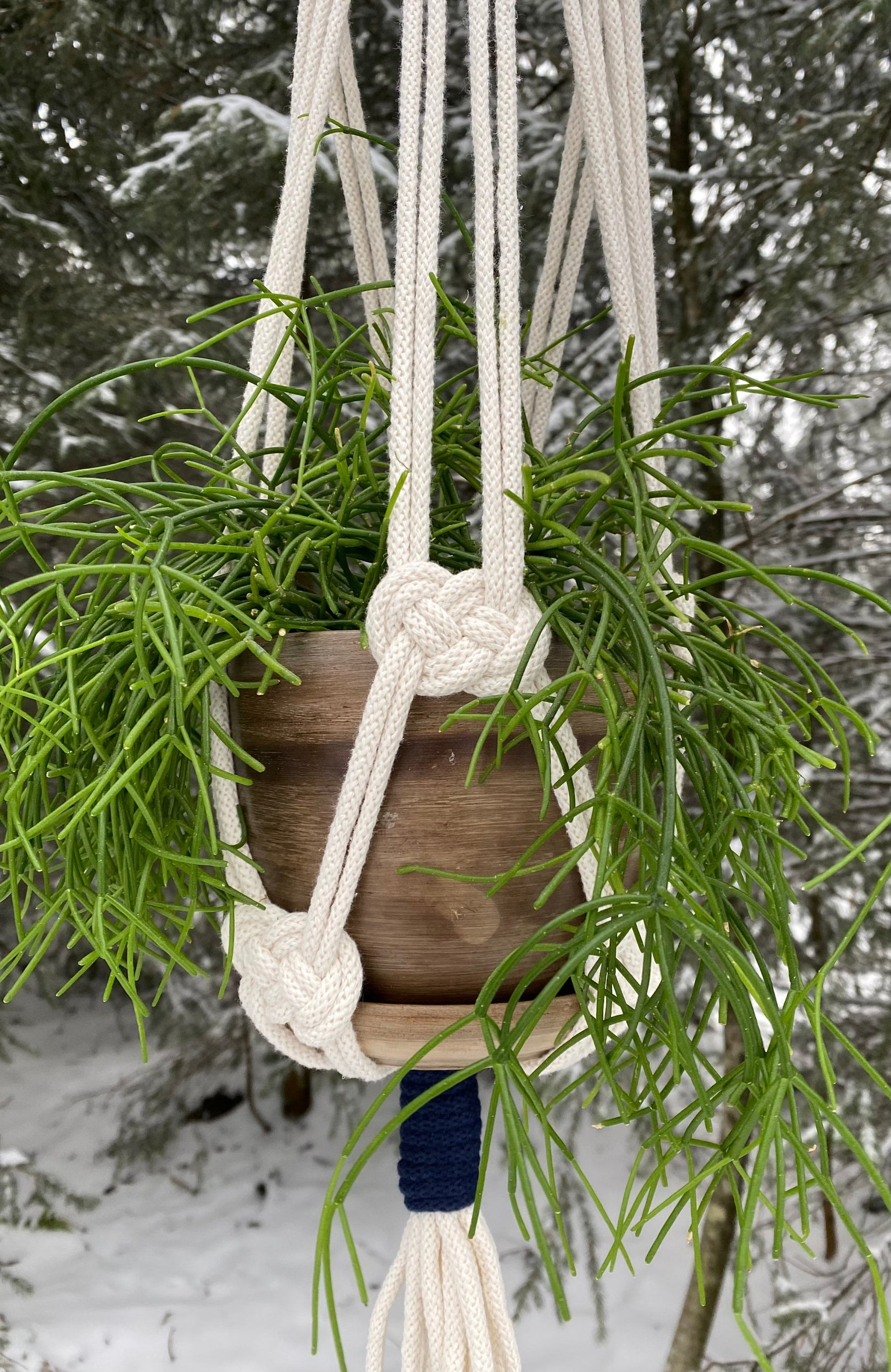 Hanging planter with greenery against a snowy forest background