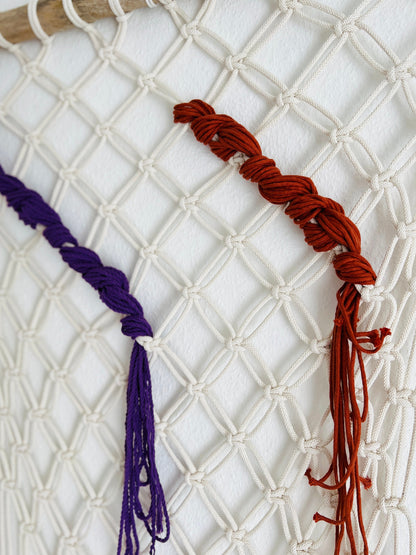 Two braided ropes, one purple and one red, hanging against a textured white background.