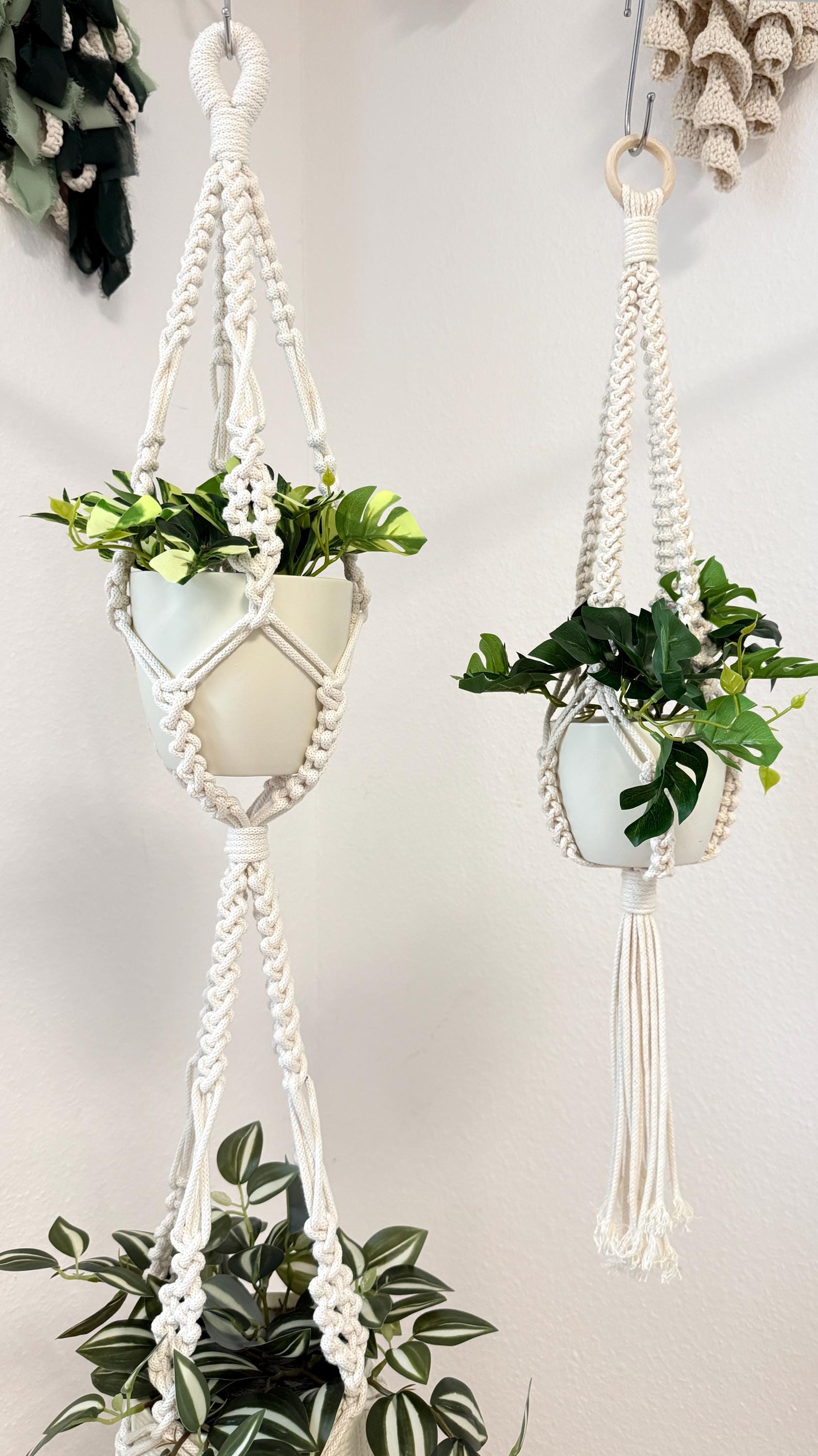Two macrame plant hangers with plants against a white wall.