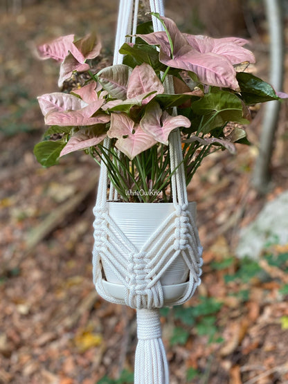 Hanging macrame plant holder with pink leaves against a natural background