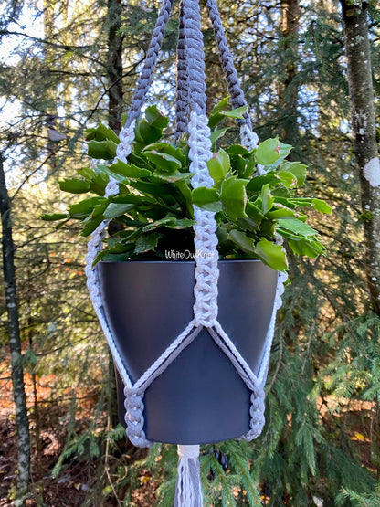 Macrame plant hanger with a plant against a forest background