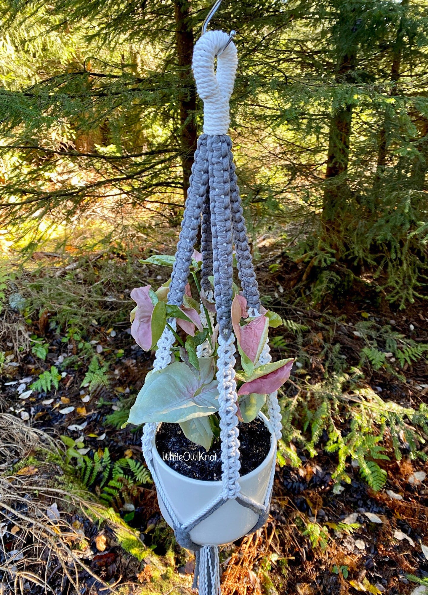 Macrame plant hanger with a potted plant hanging in a forest setting