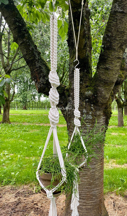 White macrame plant hanger hanging from a tree in a garden setting