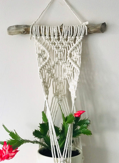Macrame wall hanging with a plant on a white background