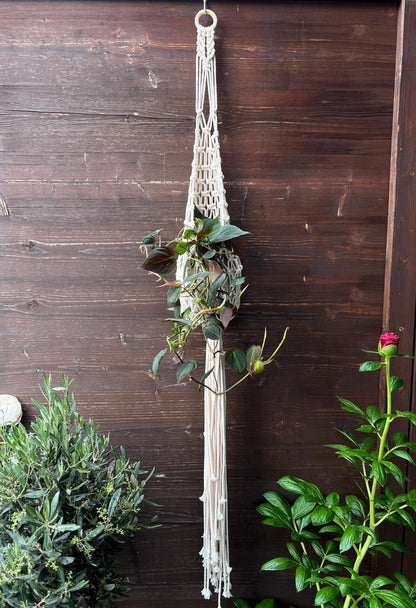 Nest Macramé Plant Hanger Pattern, DIY Instructions